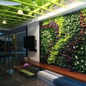 Jasa Taman Vertical Garden Depok – Bergaransi dan Profesional