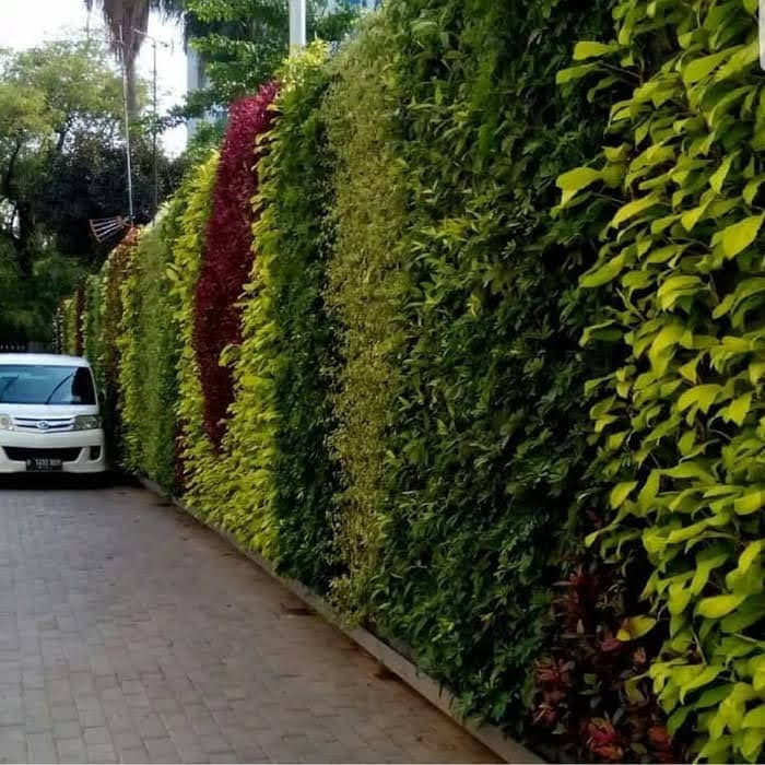 taman vertikal garden