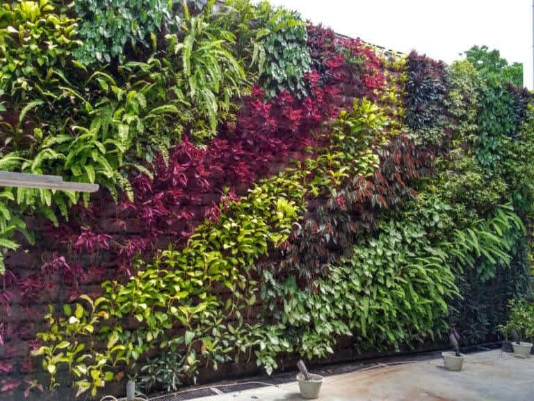 vertical garden