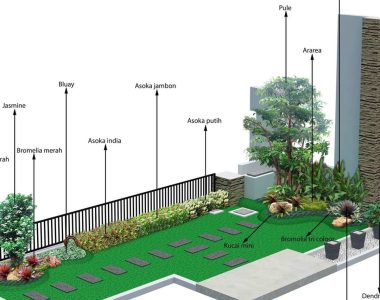 Tukang Taman di Perumahan Cinere Harga Murah