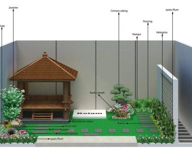 Tukang Taman Jakarta Murah Terpercaya