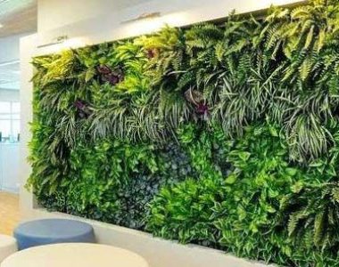 Tukang Taman Vertical Garden Bekasi