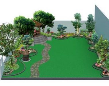 Jual Pohon Pule | Pohon Pelindung Terlengkap