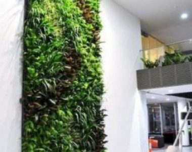 Tukang Taman Vertical Garden Depok
