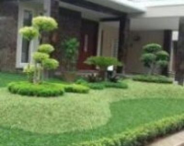 Tukang Taman Kebayoran Baru
